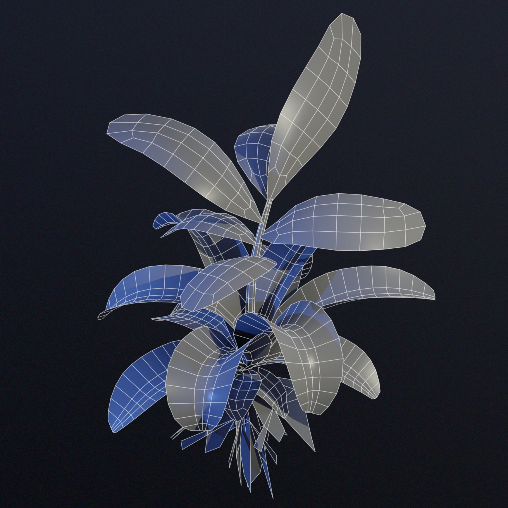 Bromeliad_Comp Bromeliad_Comp