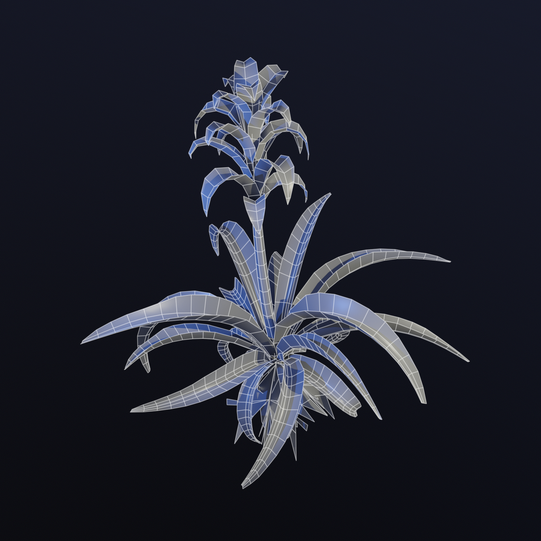 Bromeliad_Comp Bromeliad_Comp