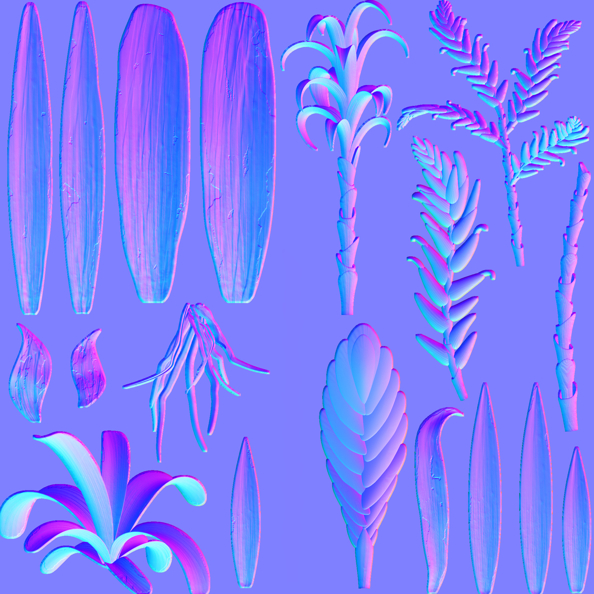 Bromeliad_N Bromeliad_N