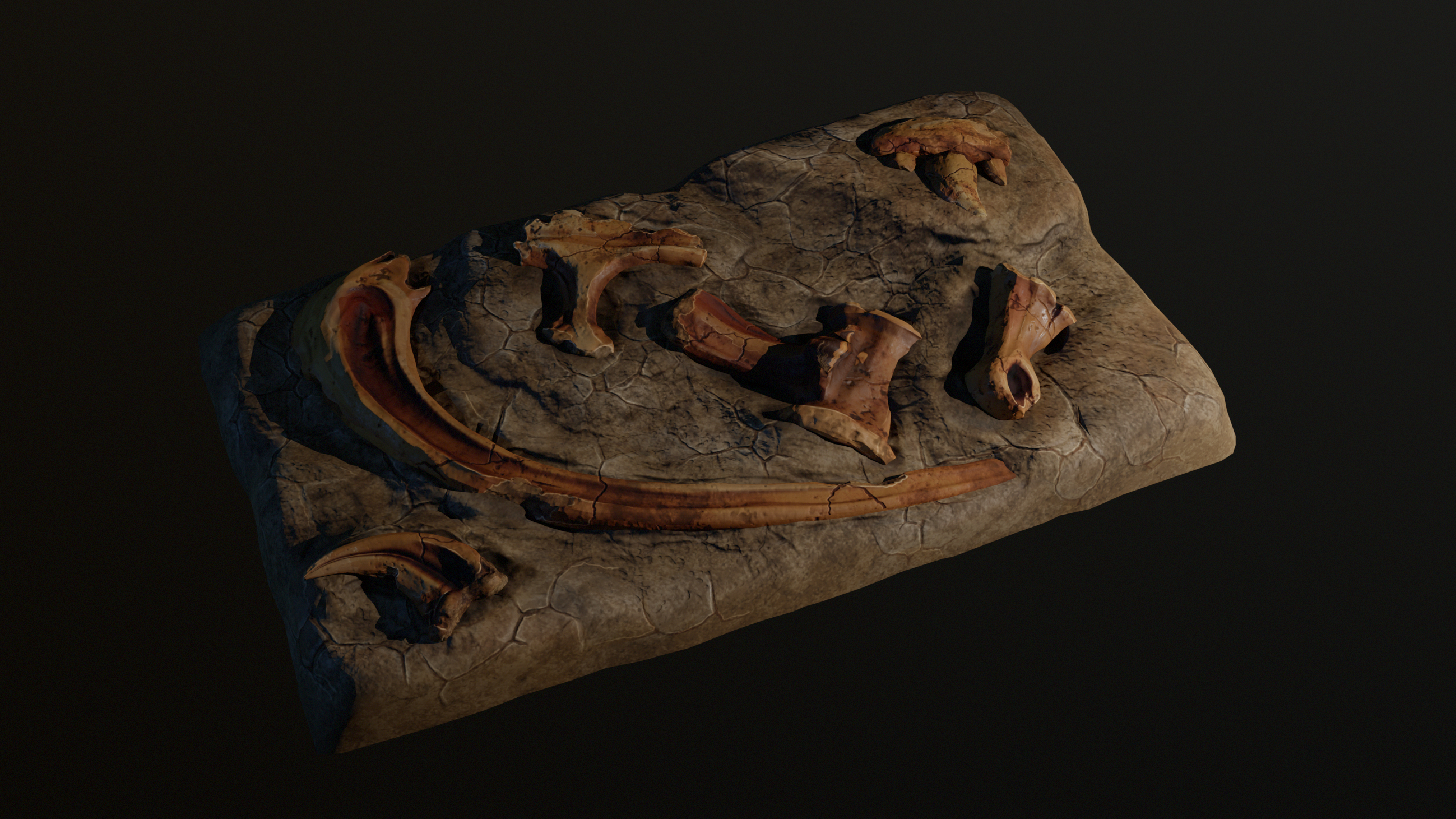 Fossils_01 Fossils_01