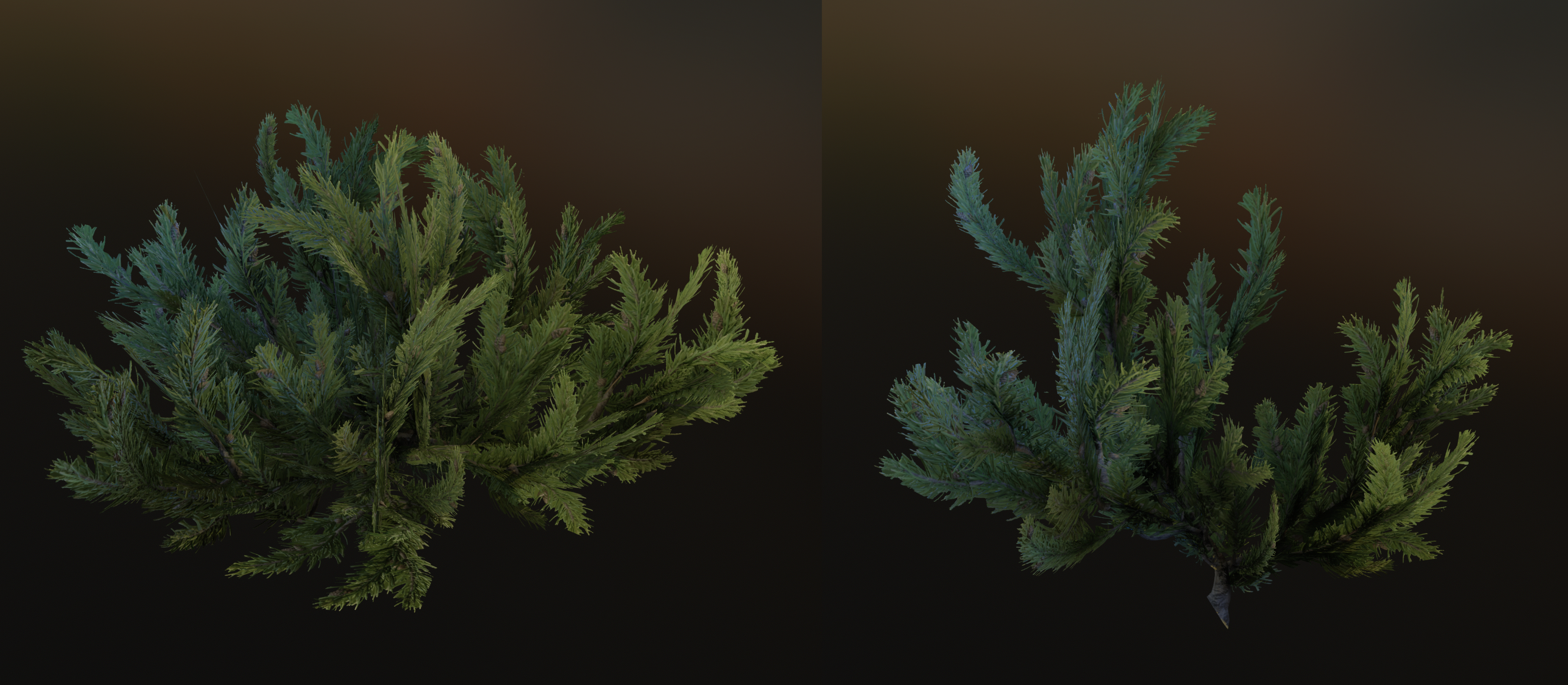 Pinebush Pinebush