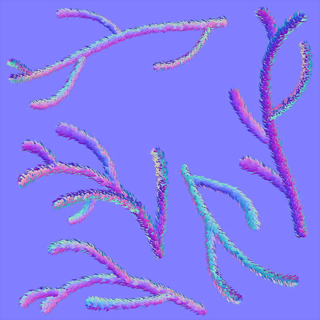 Araucaria_Branch_N Araucaria_Branch_N