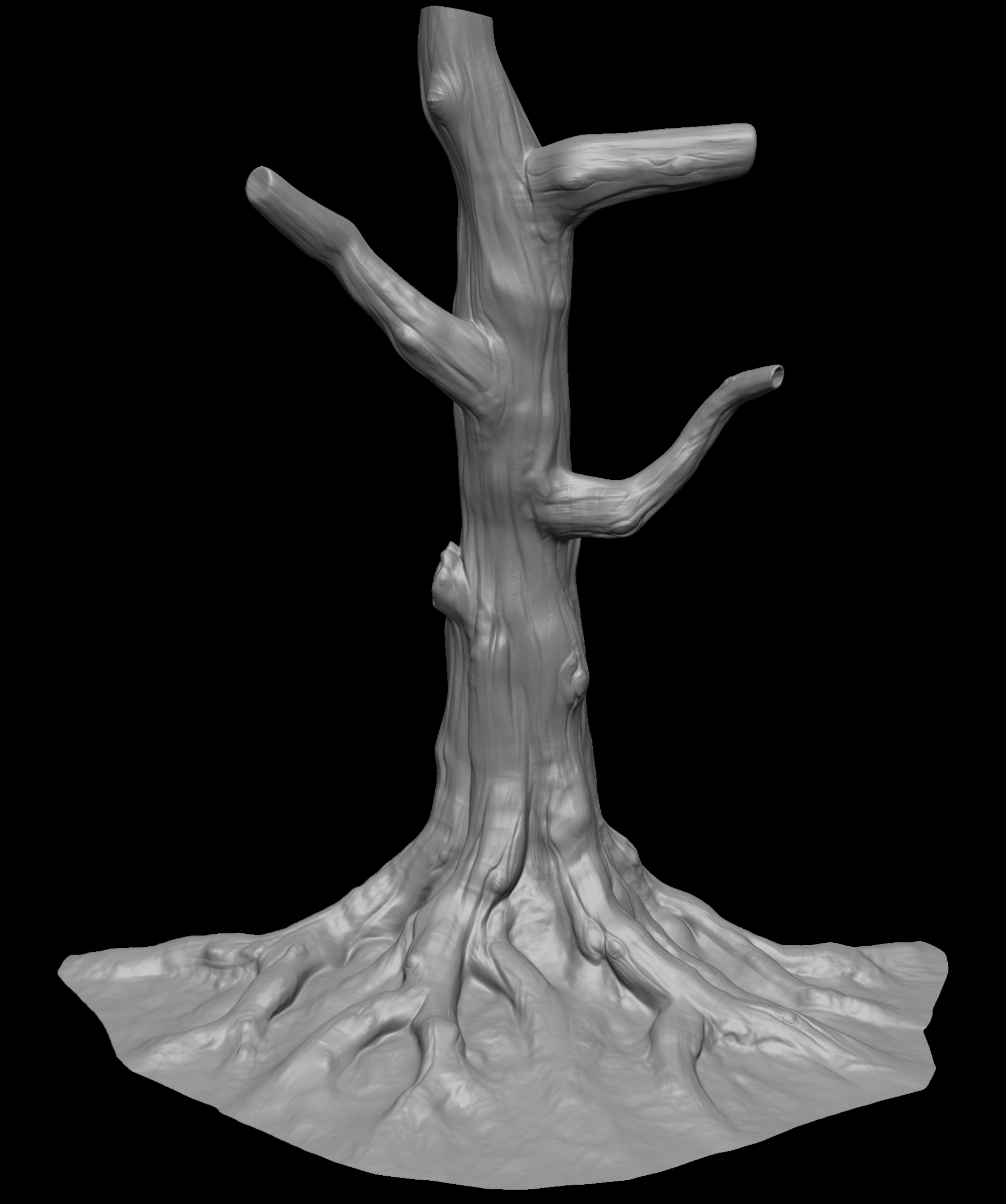 Camphor_Tree_Sculpt Camphor_Tree_Sculpt