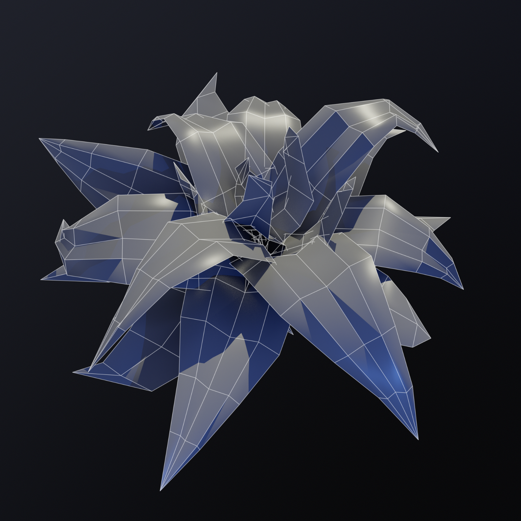 Bromeliad_Comp Bromeliad_Comp