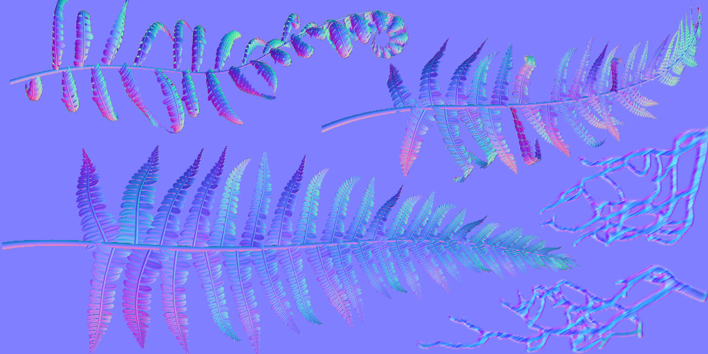 Fern_h_n Fern_h_n
